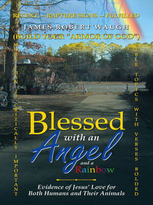 cover image of Blessed with an Angel and a Rainbow